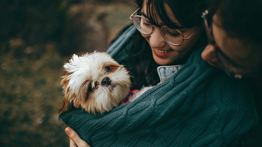 Memorializing Pets: Honoring Our Faithful Companions