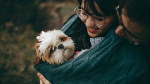Memorializing Pets: Honoring Our Faithful Companions