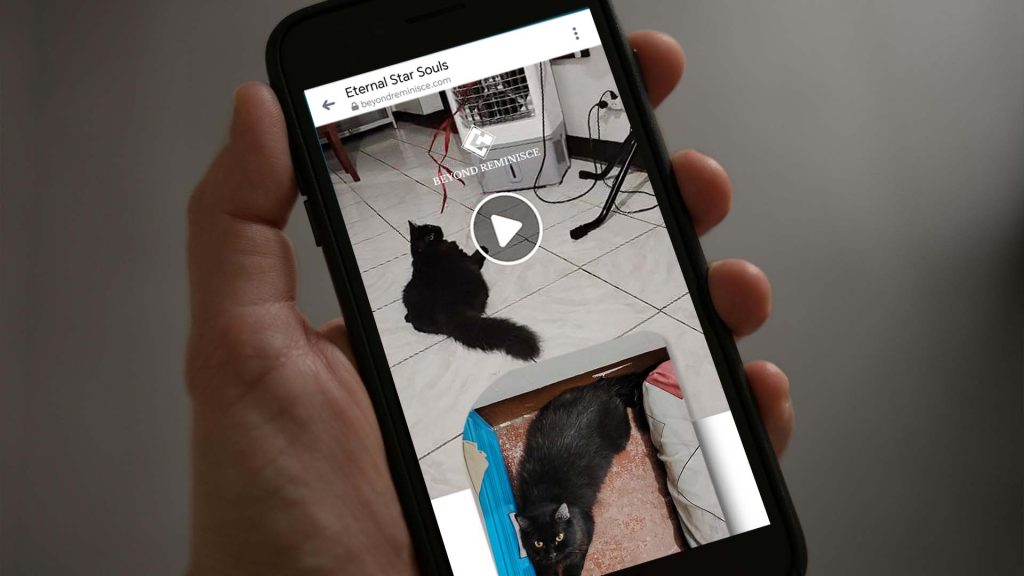 Pet Online Memorial Page